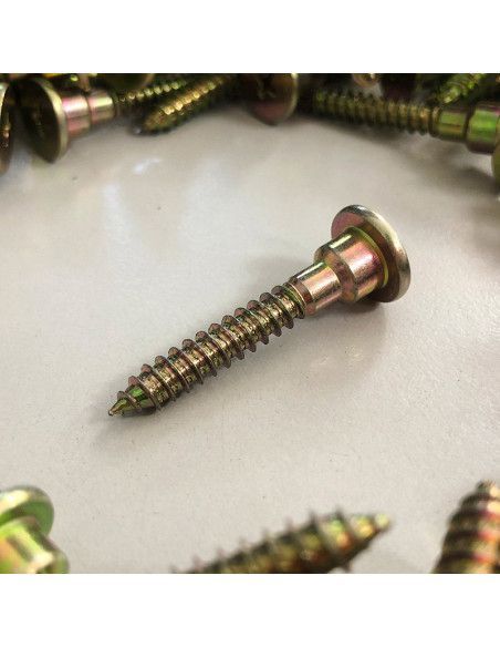 TORNILLS FOR LATERAL TAPONES