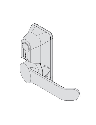 EXTERNAL CONTROL FOR PANIC BARS - TYPOLOGY